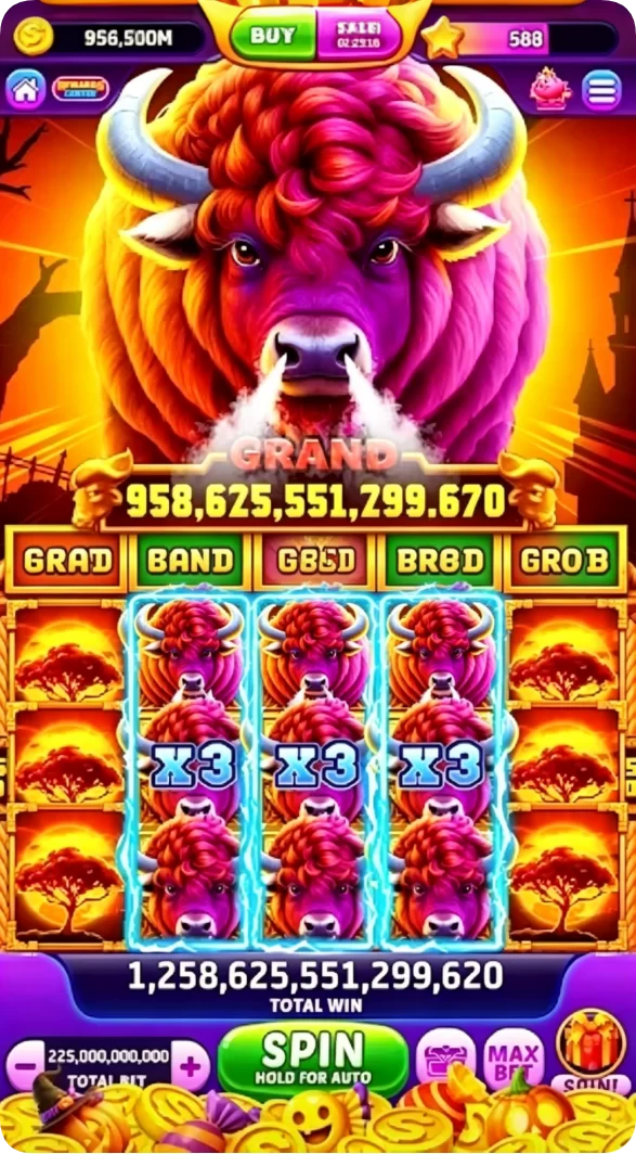 victory555